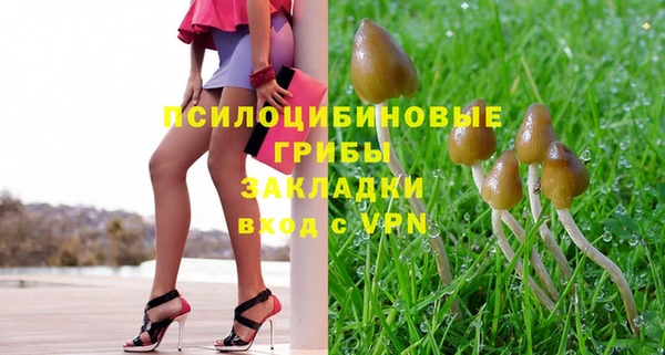 альфа пвп Горняк