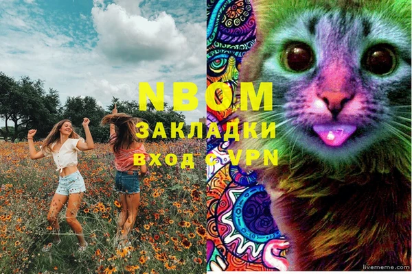 альфа пвп Горняк