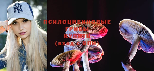 мдма Горнозаводск