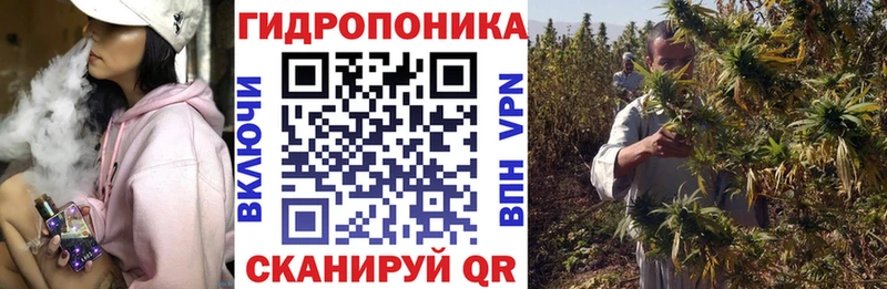 Бошки марихуана сатива  Чухлома 